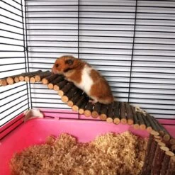 4 Stuks Hamster Speelgoed Set Houten Kooi Platform Klim Speelgoed Ladder Brug Loop Oefening Voor Hamster Cavia Muis En Konijnen