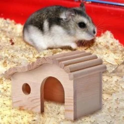 Luxe Houten Huisje Voor Knaagdieren – Hamster Huisje Hout – Blokhut – Speelhuis – Knaagdierhuis – Muizenkooi / Hamsterkooi – 15 X 8 Cm