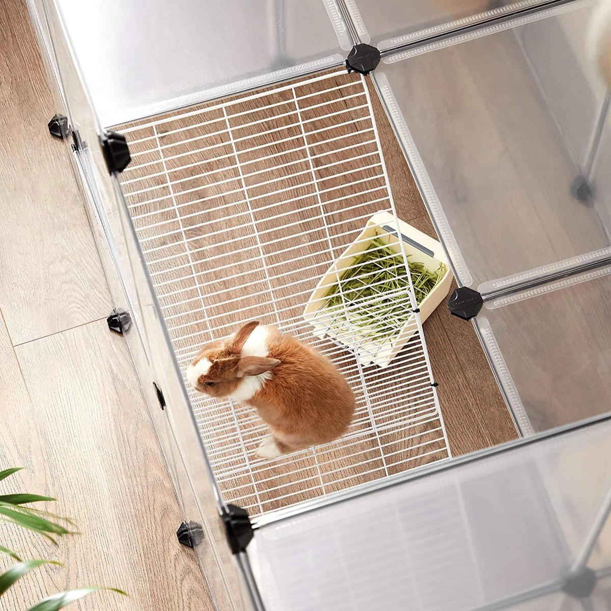 Buitenbehuizing Dieren – Huisdieren Kooi – Huisdieren – Dierenhuis – Hamster – Cavia – Konijnen – Transparant 1 Buitenbehuizing Dieren – Huisdieren Kooi – Huisdieren – Dierenhuis – Hamster – Cavia – Konijnen – Transparant