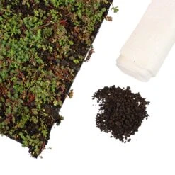 Sedummat | Per 5 M2 | Incl. Onderdoek En Substraat | Per 5 M2