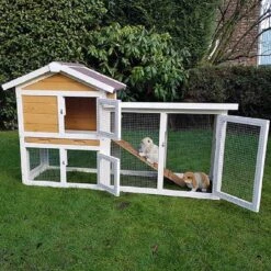 Konijnenhok Queensland 147x53x85cm