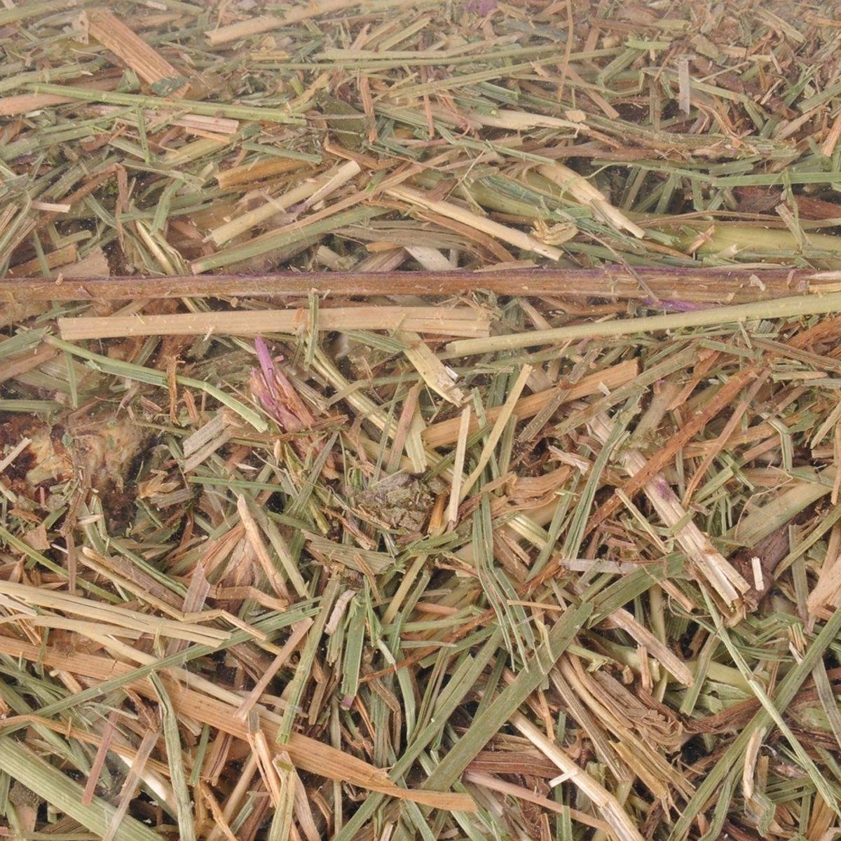 Flamingo – Konijnen Snack Weidehooi – Bruin – M – 2.5 Kg 1 Flamingo – Konijnen Snack Weidehooi – Bruin – M – 2.5 Kg