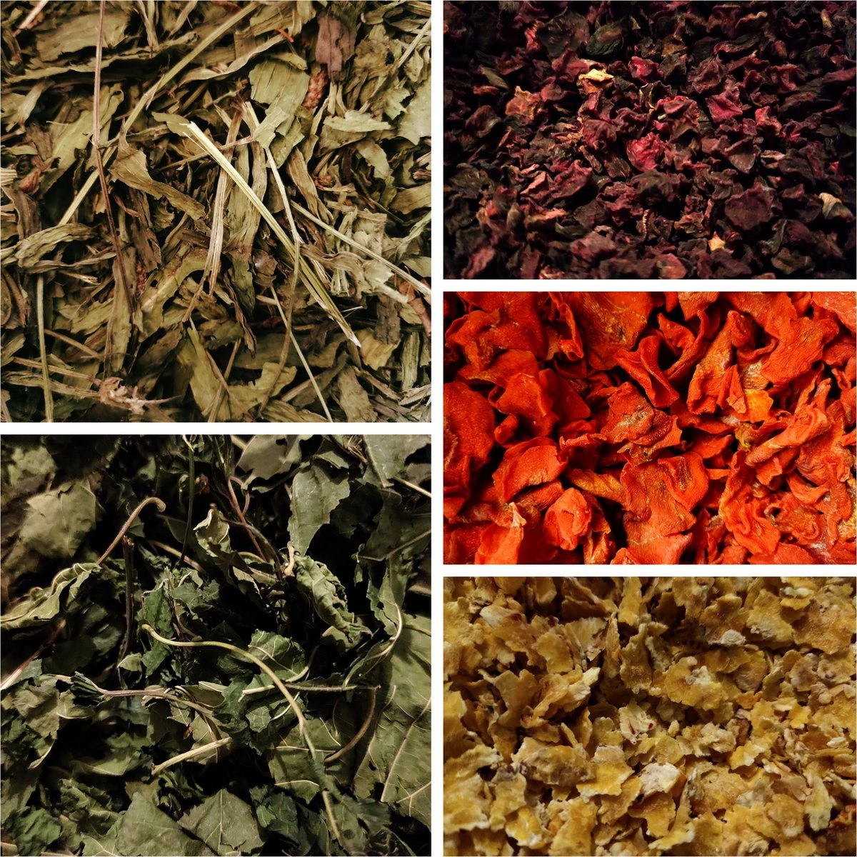 Kruidenbox 6 Konijn – Weegbree, Moerbeiblad, Rode Biet -, Maïsvlokken, Wortelchips – Konijnenvoer 1 Kruidenbox 6 Konijn – Weegbree, Moerbeiblad, Rode Biet -, Maïsvlokken, Wortelchips – Konijnenvoer