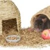 Relaxdays Konijnen Speelgoed – 2-delige Set – Knaagdieren Benodigdheden – Speeltjes Cavia