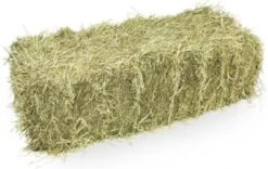 Baal Hooi Ca. 20 Kilo