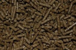 Konijnenkorrel Volledig