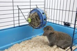 Savic Hooi- En Snackmolen Bunny Toy