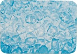 Trixie Koelplaat Voor Kleine Dieren Blauw (28X20 CM)