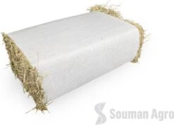 Timothy Hooi – Timothee – 15kg