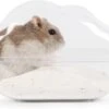 Hamster Gerbil Kunststof Zandbak Afgesloten Huisje Bakje Zand