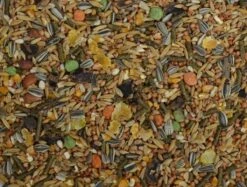 Wielink Gemengd Konijn/Cavia Fijn