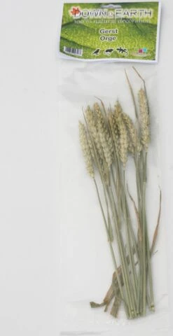 Down2Earth – Hamsterscaping & Knaagsnack – Gerst