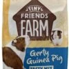 6x Tiny Friends Farm Gerty Guinea Pig 850 Gr