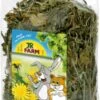JR Farm Ruwe Knaagdiersnack – Paardenbloemen – 100 Gram