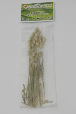 Down2Earth – Hamsterscaping & Knaagsnack – Kanariegras