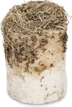 Beeztees Knaagdierensnack – LUFFAROL Met PAARDENBLOEM – Afmetingen: 10X13 Cm