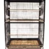 Keddoc – Bird Cage Aviary – Kooi