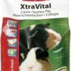 4x Beaphar XtraVital Caviavoer 2,5 Kg
