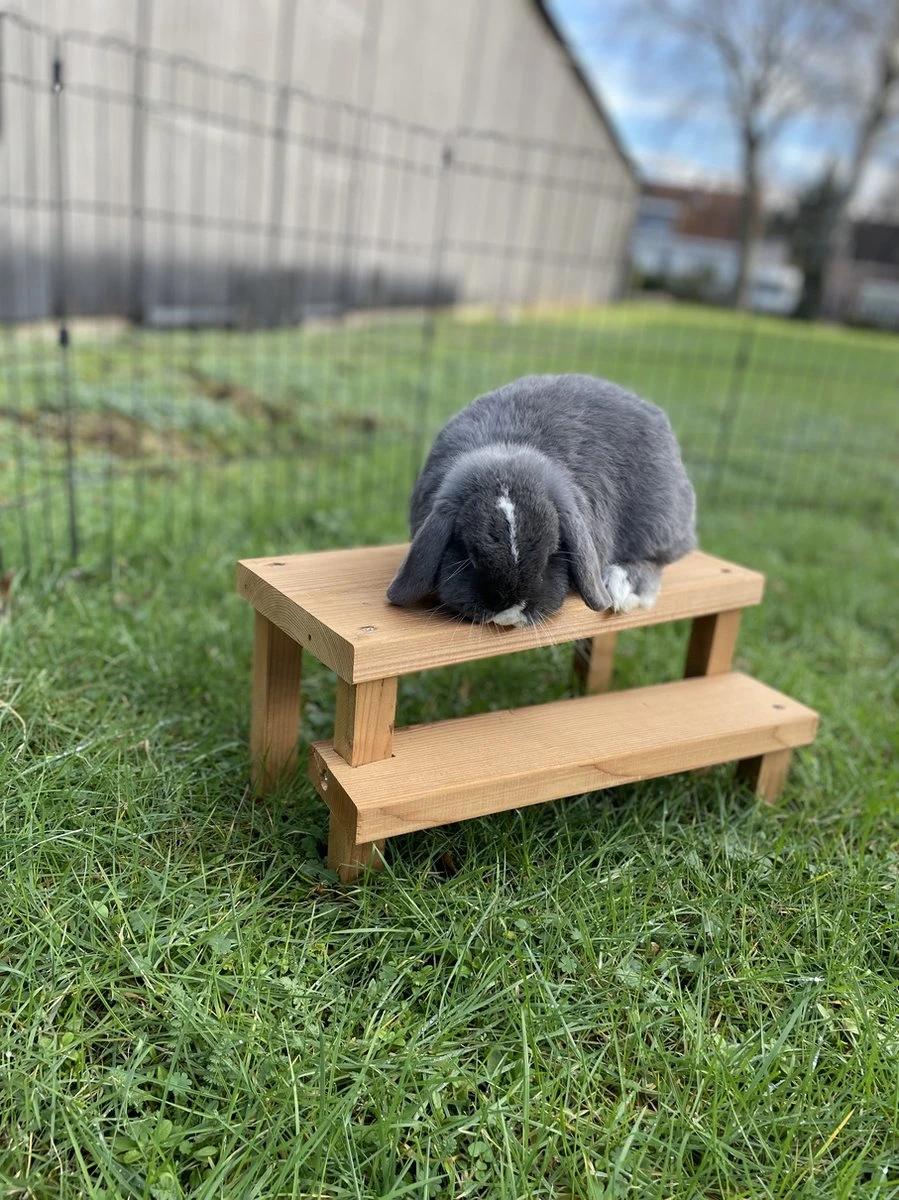 Konijnen Speelgoed – Handgemaakt – Knaagdieren Speelgoed – Duurzaam – Diervriendelijk – Irisfransjes 1 Konijnen Speelgoed – Handgemaakt – Knaagdieren Speelgoed – Duurzaam – Diervriendelijk – Irisfransjes