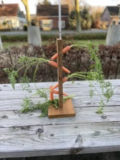 Konijnenspeelgoed – Handgemaakt – Wortelpaal – Duurzaam – Knaagdieren – Voederpaal – Irisfransjes