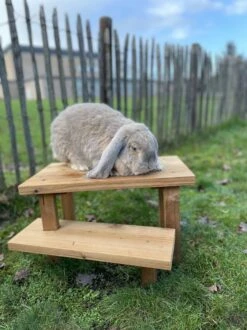 Konijnen Speelgoed – Handgemaakt – Knaagdieren Speelgoed – Duurzaam – Diervriendelijk