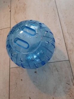 Hamster Speelbal Plastic Blauw 19 Cm
